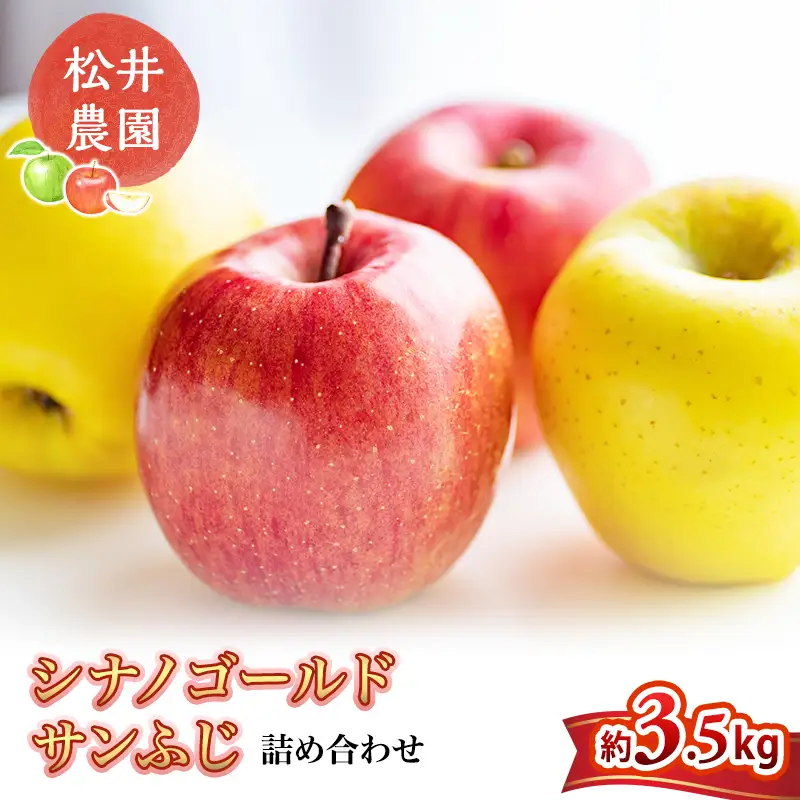 りんご サンふじ シナノゴールド 詰合せ 約3.5kg