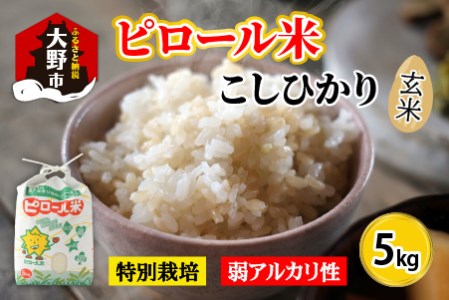 【令和7年産】弱アルカリ性のピロール米 こしひかり 玄米 5kg [A-009002]