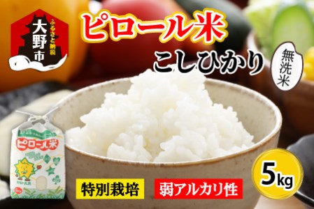 【令和7年産】弱アルカリ性のピロール米 こしひかり 無洗米 5kg [A-009003]