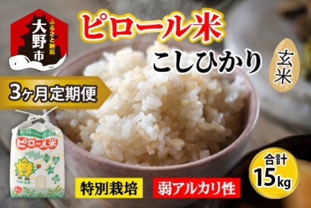 【令和8年産 新米】【3ヶ月定期便】こだわりの米！弱アルカリ性のピロール米 こしひかり 玄米 5kg×3回 計15kg [C-009002]