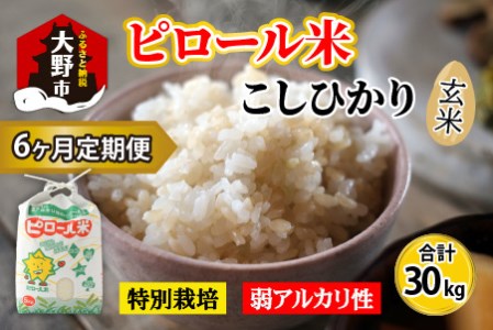 【令和8年産 新米】【6ヶ月定期便】こだわりの米！弱アルカリ性のピロール米 こしひかり 玄米 5kg×6回 計30kg [F-009002]