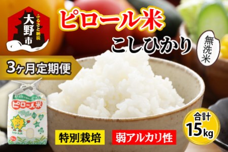 【令和7年産】【3ヶ月定期便】こだわりの米！弱アルカリ性のピロール米 こしひかり 無洗米 5kg×3回 計15kg [C-009003]