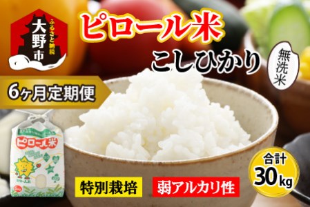 【令和8年産 新米】【6ヶ月定期便】こだわりの米！弱アルカリ性のピロール米 こしひかり 無洗米 5kg×6回 計30kg [F-009003]
