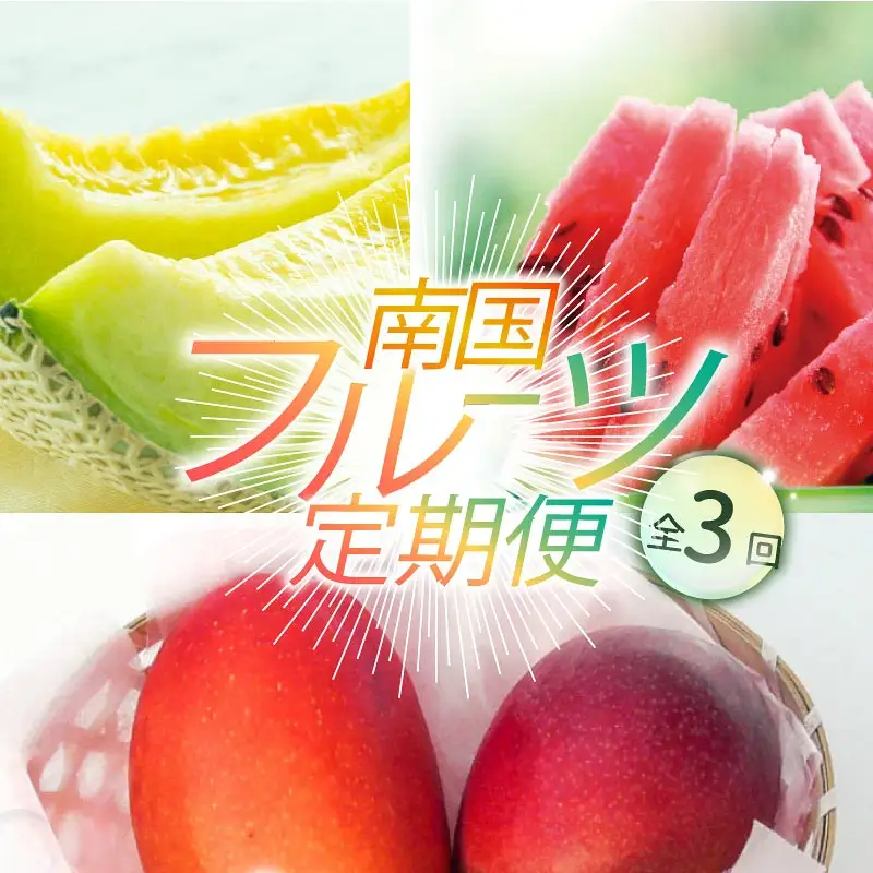 【年3回 定期便】季節のフルーツセット マンゴー メロン  スイカ マンゴー