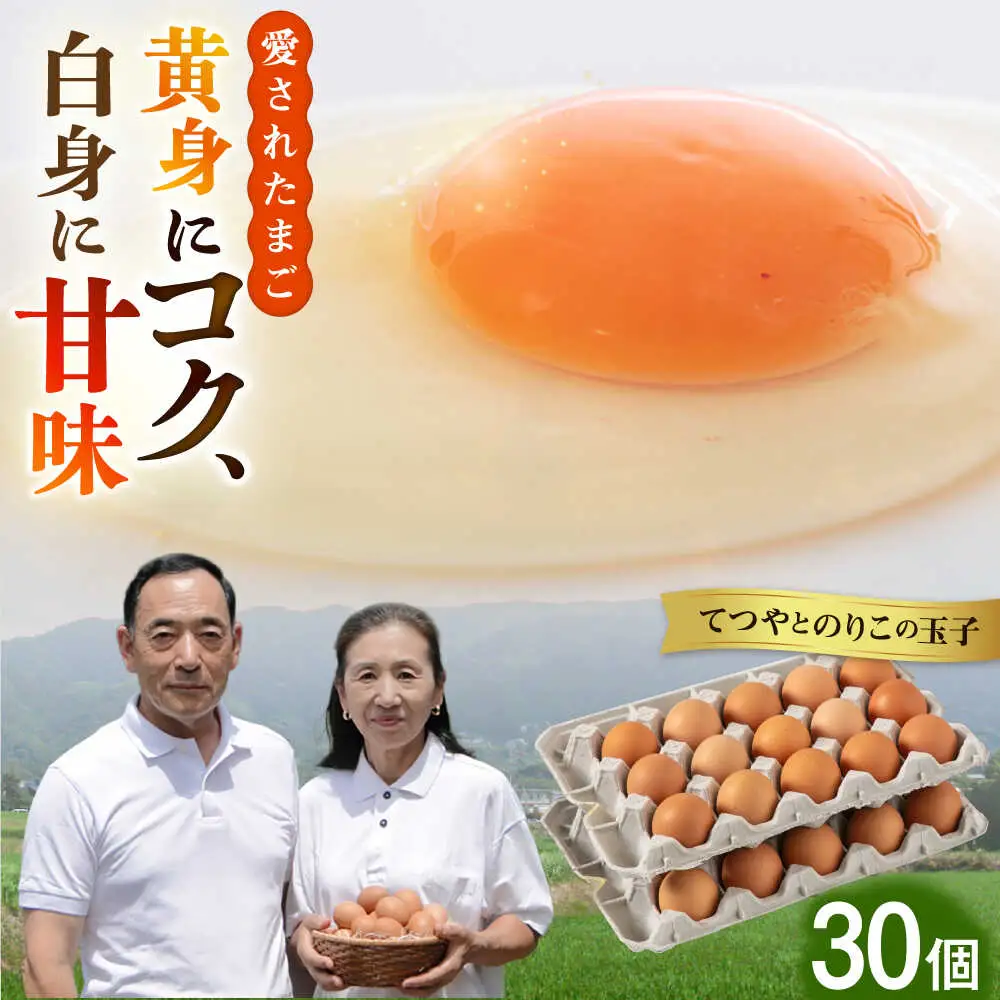 【お中元対象】卵 30個 てつやとのりこの玉子 卵 たまご [AWD001]