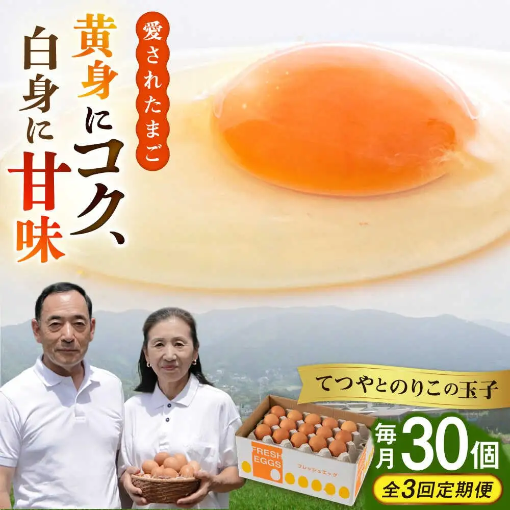 【全3回定期便】卵 30個×3ヶ月 てつやとのりこの玉子 卵 たまご [AWD006]