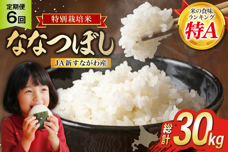 6回 定期便 JA新すながわ産 特栽米ななつぼし 5kg×6回 総計30kg