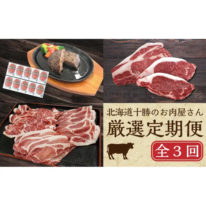 定期便 全3回 北海道産 豚肉 牛肉 セット ハンバーグ