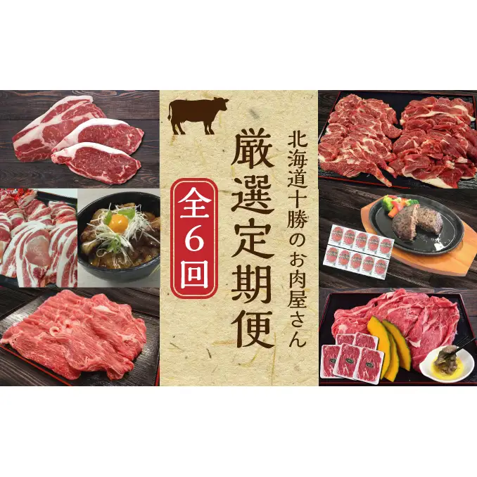 定期便 全6回 北海道産 豚肉 牛肉 セット ハンバーグ
