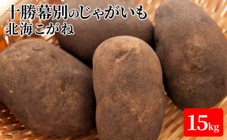 【先行予約】十勝幕別のじゃがいも15kg（北海こがね）【北海道ホープランド農場】 野菜 
