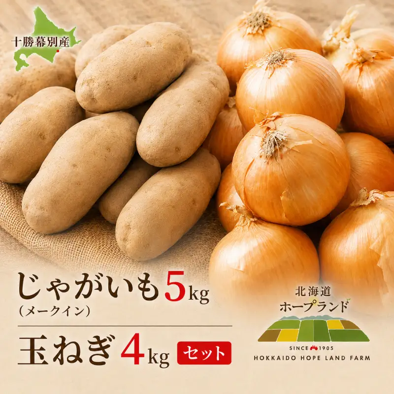 先行予約 メークイン5kg 玉ねぎ4kg セット じゃがいも