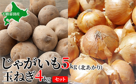 【先行予約】じゃがいも5kg・玉ねぎ4kgセット（北あかり）【十勝幕別 北海道ホープランド農場】 野菜 玉ねぎ セット 詰合せ 