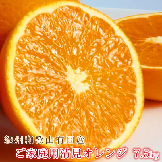 ［ご家庭用訳アリ］紀州有田産清見オレンジ　7.5kg［2027年3月下旬以降発送］［先行予約］［UT54］