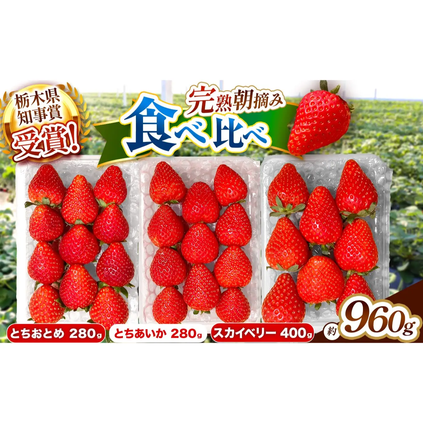 いちご3品種 食べ比べセット 960g(とちあいか・スカイベリー・とちおとめ)