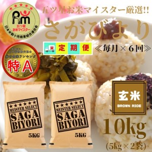 CID49_【６回定期便】さがびより１０kg【玄米】（５kg×２袋） 【五つ星お米マイスター厳選！】