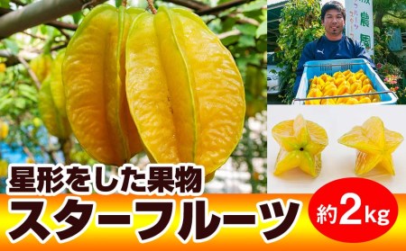 【2026年9月から順次発送】星形をした果物 スターフルーツ 約2kg