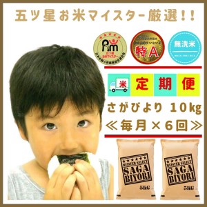 CID55_【６回定期便】無洗米さがびより１０ｋｇ（５ｋｇ×２袋） 【五つ星お米マイスター厳選！】