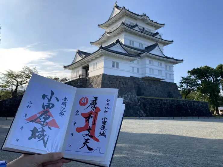 小田原城御城印・御城印帳セット【小田原 小田原城 御城印 三鱗 家紋 北条氏 摩利支天 小田原城オリジナル 蛇腹式製本 来城記念 登城記念 記念品 大久保氏　朱印 虎朱印 印判 シンプルデザイン 神奈川県 小田原市 御城印】