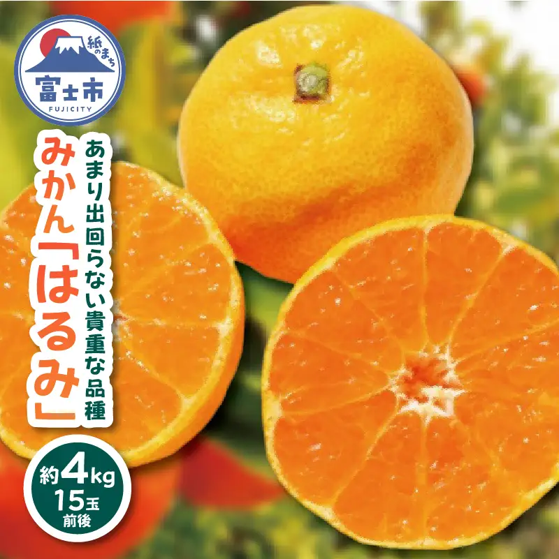 みかん はるみ 約4kg 期間限定 数量限定 15玉前後 貴重な品種 プチプチ 弾ける 大粒果肉 ジューシー 旬 食べやすい フルーツ 柑橘 果物 常温配送 静岡県 富士市 [sf001-005]