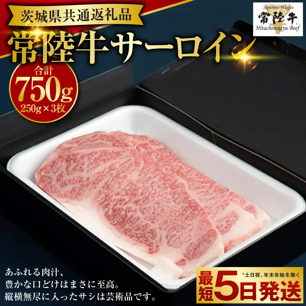 【常陸牛 A4】サーロイン250g×3枚 合計750g（茨城県共通返礼品） | アウトドア お肉 肉 牛肉 和牛 黒毛和牛 サーロイン ステーキ サーロインステーキ ステーキカット ブランド 常陸牛 お取り寄せ 冷凍 藤井商店 茨城県 守谷市