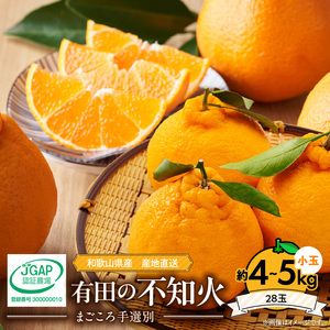 【2027年先行予約】有田の不知火(しらぬひ）約4kg～5kg　小玉28玉（Sサイズ）まごころ手選別_ZE6101n