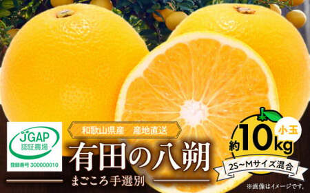 【2027年先行予約】和歌山県産 有田の 八朔 (はっさく) 約10kg 小玉 【2S～Mサイズ混合】まごころ手選別 _ZE6154n