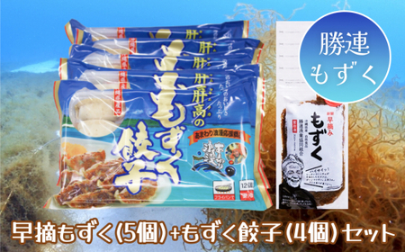 早摘みもずく（5袋）ともずく餃子（12個入×4袋）セット【勝連漁業協同組合】