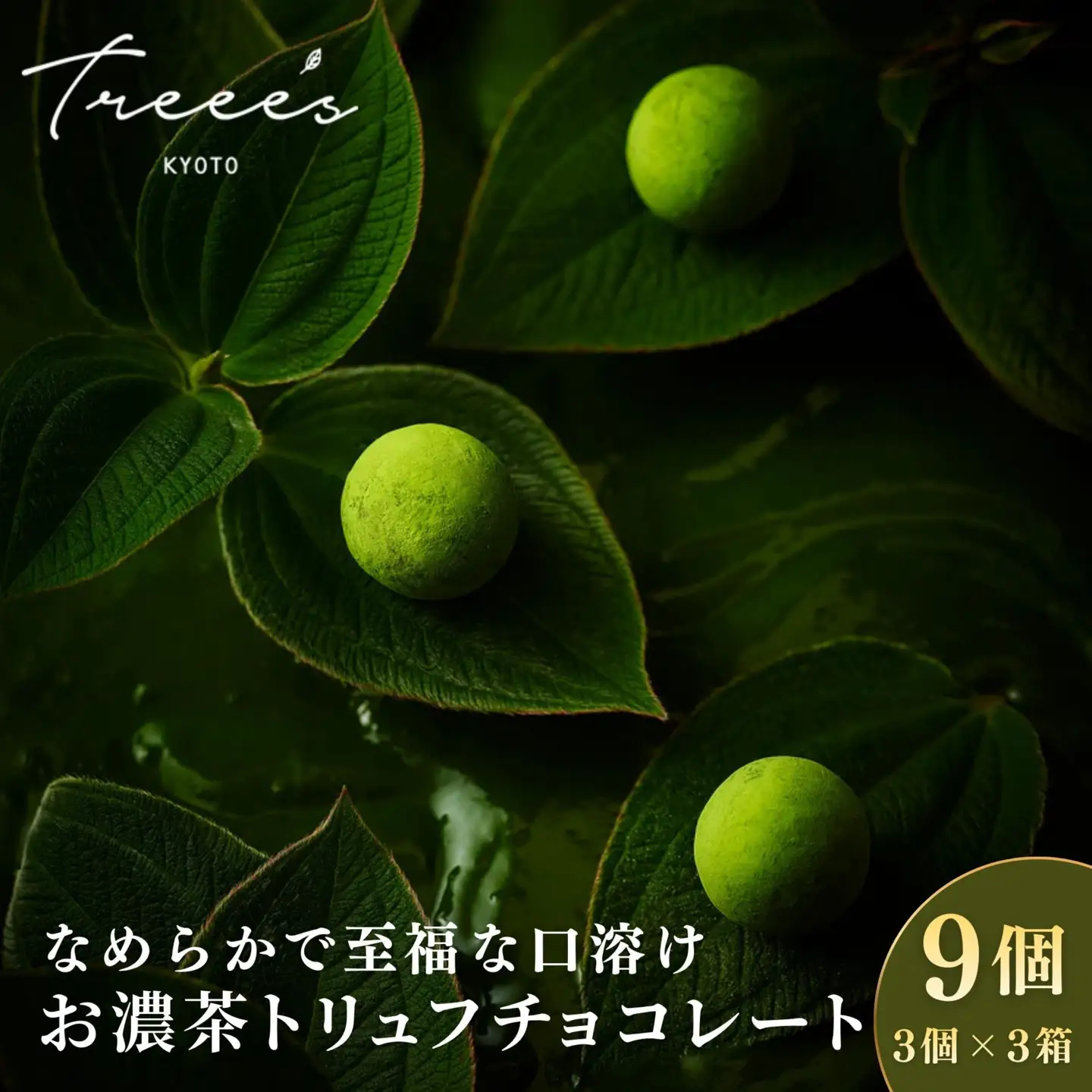 【TREEE’S】お濃茶トリュフチョコレート 3個入×3箱セット(京都/ギフト/洋菓子/抹茶/スイーツ)