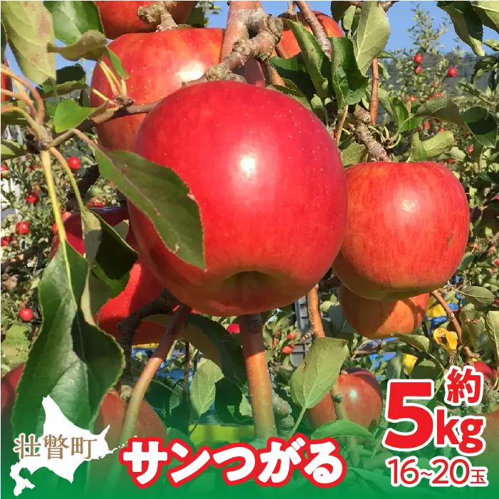 【先行予約】北海道壮瞥町産りんご「サンつがる」約5kg(14～18玉)＜2026年9月下旬よりお届け＞ SBTF010