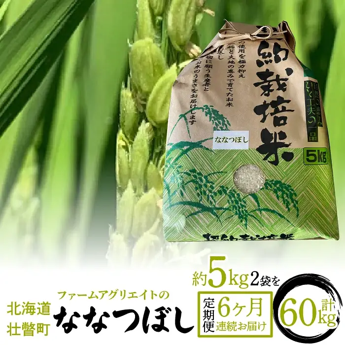 令和6年産米 ファームアグリエイトのななつぼし　約5kg×2袋を6ヶ月連続お届け SBTB007