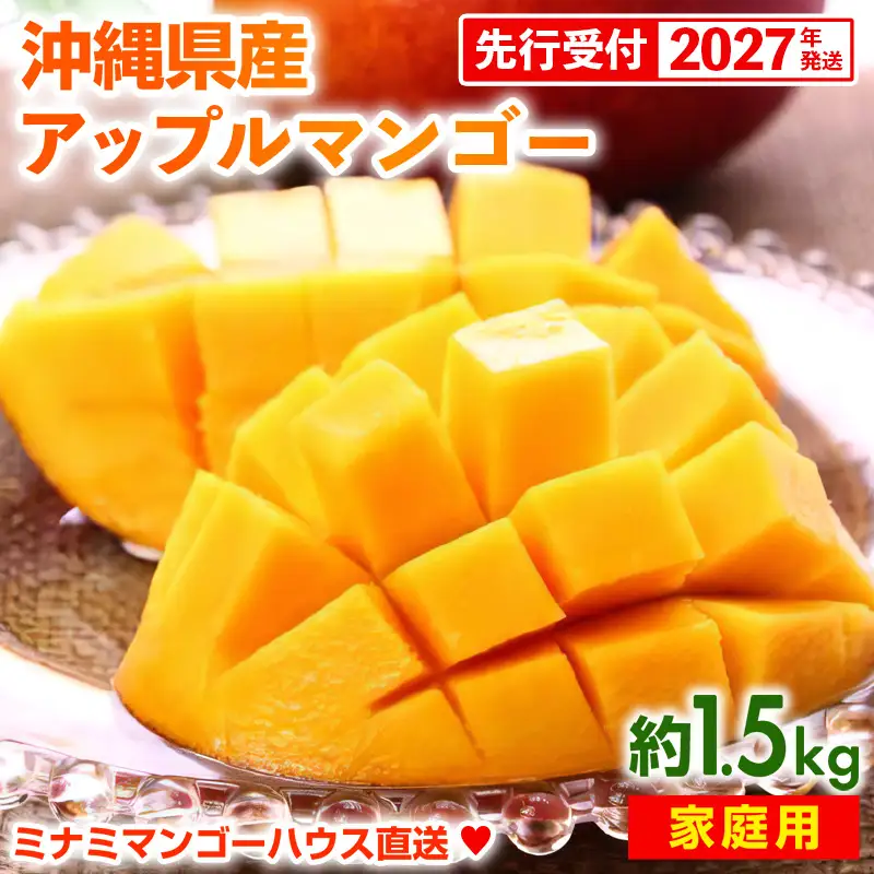 【先行受付】【2027年発送】ミナミマンゴーハウスのアップルマンゴー 家庭用 約1.5kg- 先行予約 沖縄県産 産地直送 南国フルーツ 旬の味覚 ご自宅用 オススメ 沖縄県 八重瀬町