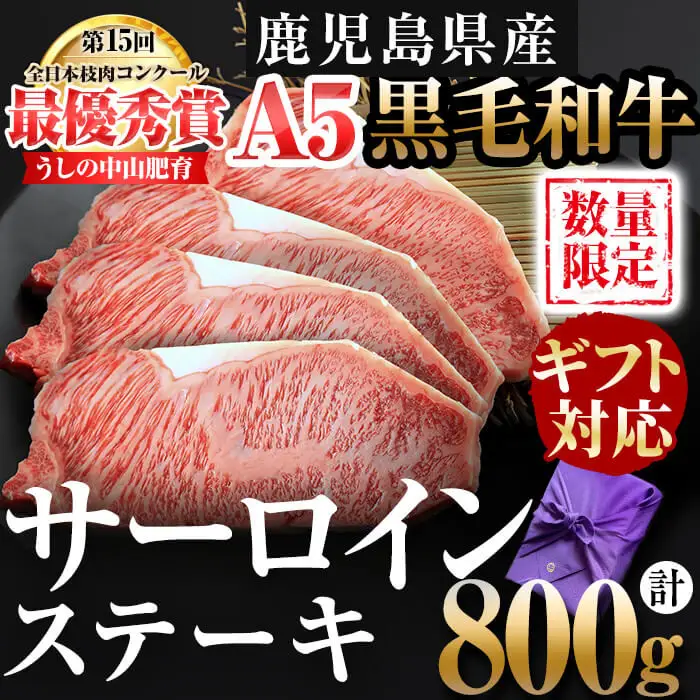 【ギフト対応】＜A5等級＞黒毛和牛 巨匠の至福のサーロインステーキ 計800g(200g×4枚) wa24-005