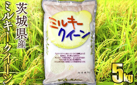 令和8年産 茨城ミルキークイーン 5㎏（5㎏×1袋）【お米・米・ミルキークイーン・5kg】