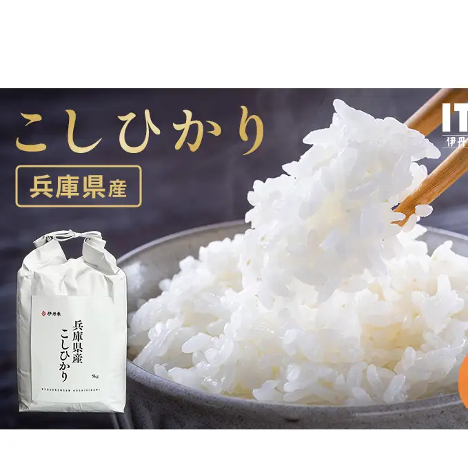 お米 令和7年産 兵庫県産コシヒカリ5kg 米 お米 こめ コメ 白米 兵庫県 伊丹市 