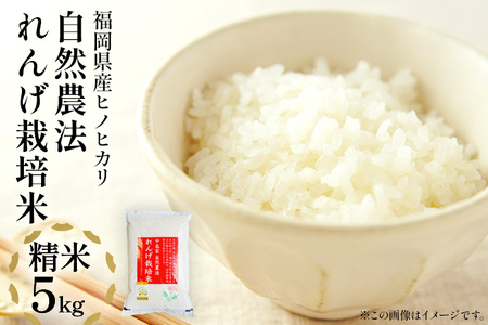 米 白米 ヒノヒカリ 精米 れんげ栽培米 自然農法れんげ栽培米「ヒノヒカリ」（精米・ 5kg）5kg 【2026年10月中旬より順次発送予定】れんげ草 れんげ栽培 有機肥料 有機栽培米 SDGs 環境 予約 国産 福岡県産 福岡県 大木町 中島農産 BI01