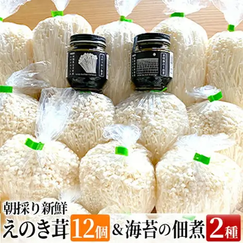 朝採り新鮮えのき茸と海苔の佃煮2種のセット　BF02