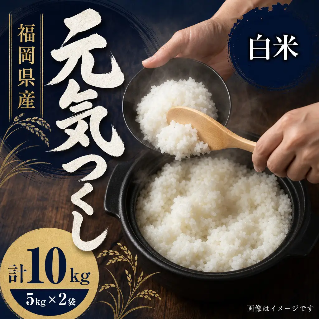 【令和7年産】 福岡県 大木町産 元気つくし 10kg　BC02