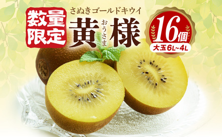 【10月中旬より】さぬきゴールドキウイ「黄様」16個入り【数量限定】