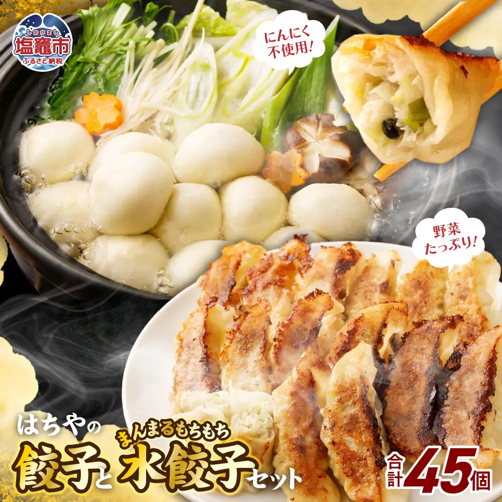 【餃子と水餃子】 セット (はちやの餃子15個／まんまるもちもち水餃子30個) 冷凍 【04203-0455】 5037886 餃子 ぎょうざ 水餃子 惣菜