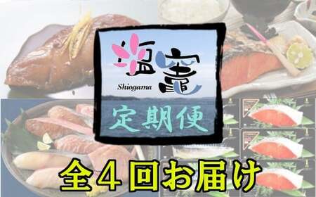 ＜定期便＞簡単調理！おいしいお魚　【04203-0308】