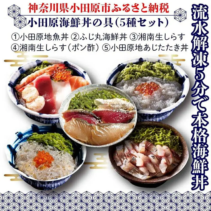 小田原地魚海鮮丼の具（5種セット）｜魚介 地魚 海鮮丼 食べ比べ 人気 おすすめ 刺身 丼ぶり 冷凍 簡単調理 新鮮 小分け セット おすすめ 人気 送料無料 神奈川県 小田原市