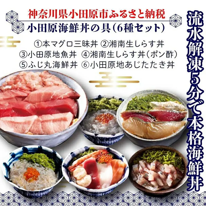 小田原地魚＆本まぐろ海鮮丼の具（6種セット）｜魚介 本まぐろ 海鮮丼 食べ比べ 人気 おすすめ まぐろ 刺身 丼ぶり 冷凍 簡単調理 小分け セット おすすめ 人気 送料無料 神奈川県 小田原市