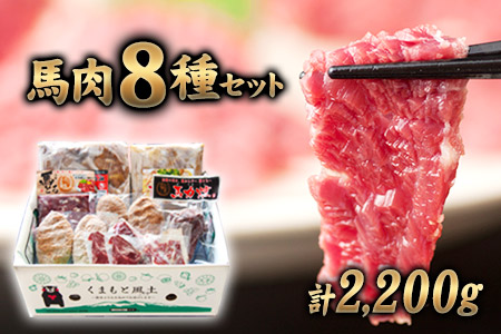 純国産馬肉8種セット 計2200g 《30日以内に出荷予定(土日祝除く)》 熊本肥育 2年連続農林水産大臣賞受賞 送料無料 馬刺し 馬肉 馬スジ ホルモン 燻製 霜降り ハンバーグ 南阿蘇村