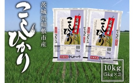【定期便／3ヶ月 令和7年産】稲敷市産 コシヒカリ 計30kg (10kg [5kg×2袋]×3回) [2000]