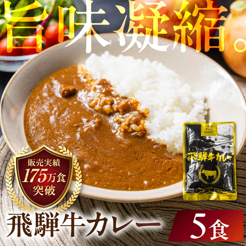 飛騨牛カレー 訳あり（160ｇ×5袋) | 訳あり カレー  ビーフ レトルト  ふるさと清見 DC005VC13