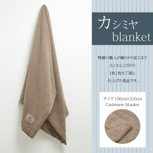 カシミヤ毛布 (毛羽部分) シングル 150cm×210cm《瀧芳株式会社》[1620]