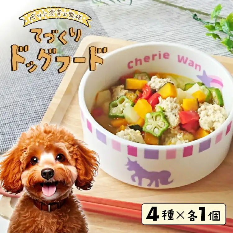 ドッグフード 【ペット食育士監修】 日向市産の野菜をたっぷり使った 手作り ドッグフード (4種×各1個)