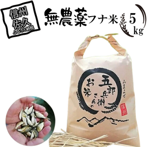 【令和7年産・白米5kg（農薬不使用米）】フナで育てた「五郎兵衛さんのお米」＜2025年10月初旬以降順次配送＞ 長野県 信州こしひかり【五郎兵衛米米 コメ 白米 精米 お米 こめ おこめ 備蓄品 仕送り おすそ分け 備蓄米 コシヒカリ こしひかり 長野県 佐久市 】