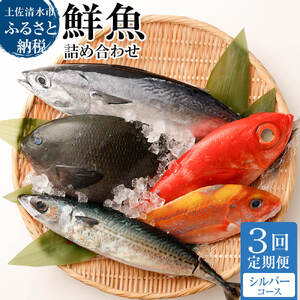 <3回定期便> 季節の鮮魚 おまかせお楽しみセット（シルバーコース）【J00034】