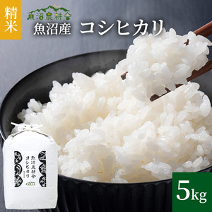 令和7年産 米農家自慢の 魚沼産 コシヒカリ （精米）5kg×1袋 お米 